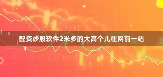 配资炒股软件2米多的大高个儿往网前一站